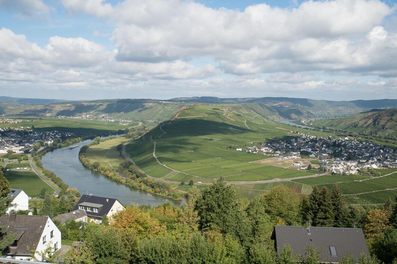 Gaestehaus-Weingut Loersch Leiwen Bagian luar foto